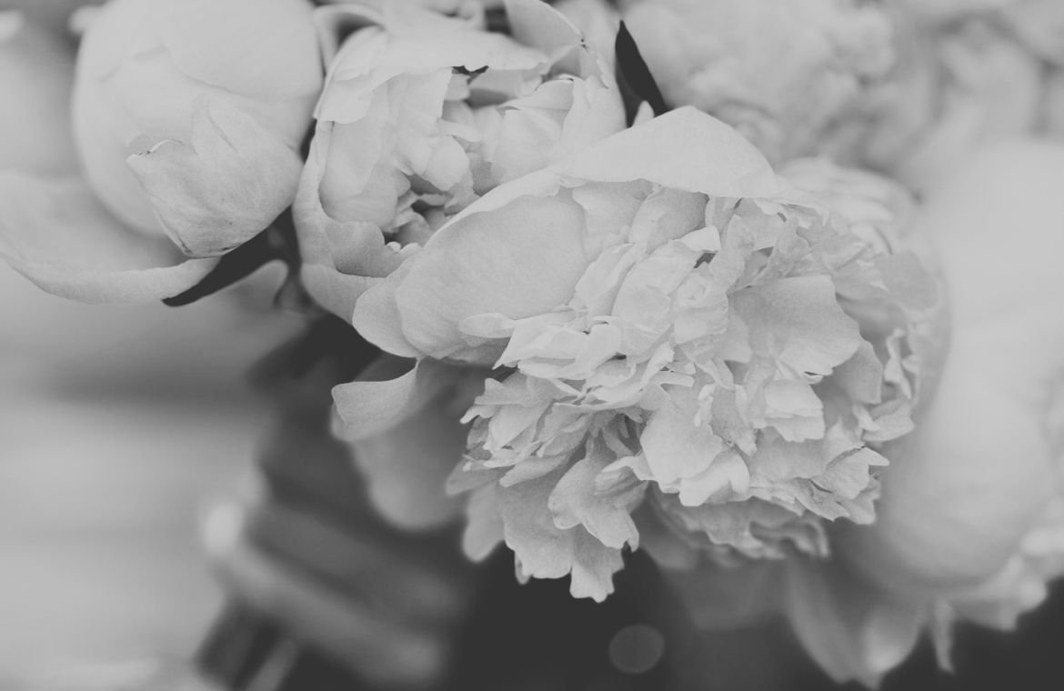 por-que-contratar-un-wedding-content-creator-si-ya-tienes-fotografo